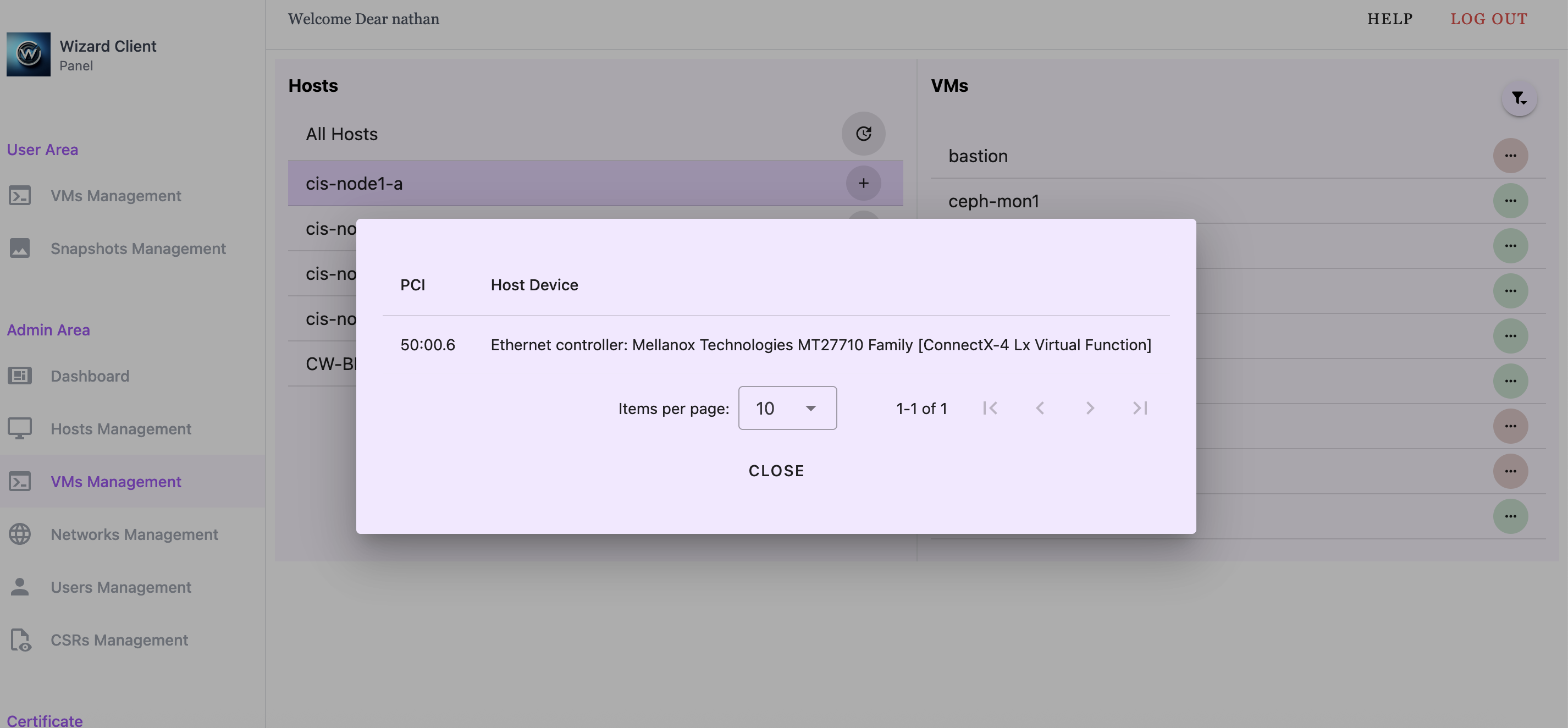 An example of Wizard Client Web UI showing PCI devices attached to a VM.