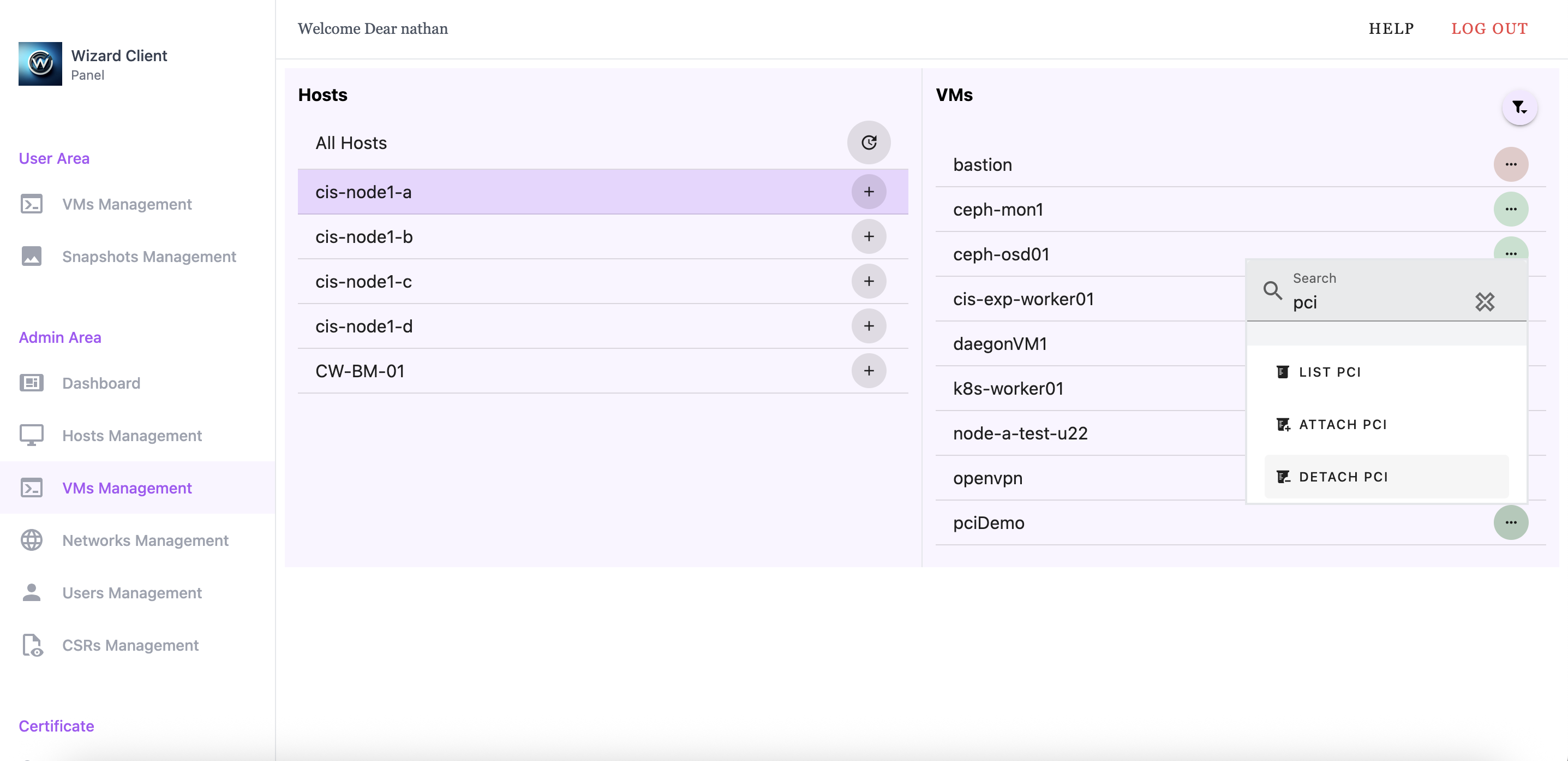 An example of Wizard Client Web UI showing where to access the detach PCI device.